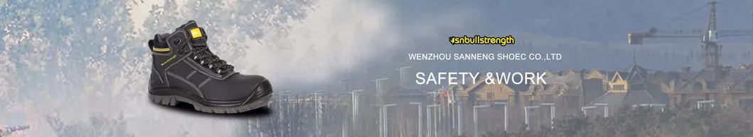 Ce Certificate Industrial Leather Men/Women Safety Shoes Safety Footwear with Non-Metal Standard Working Shoe Sn5798