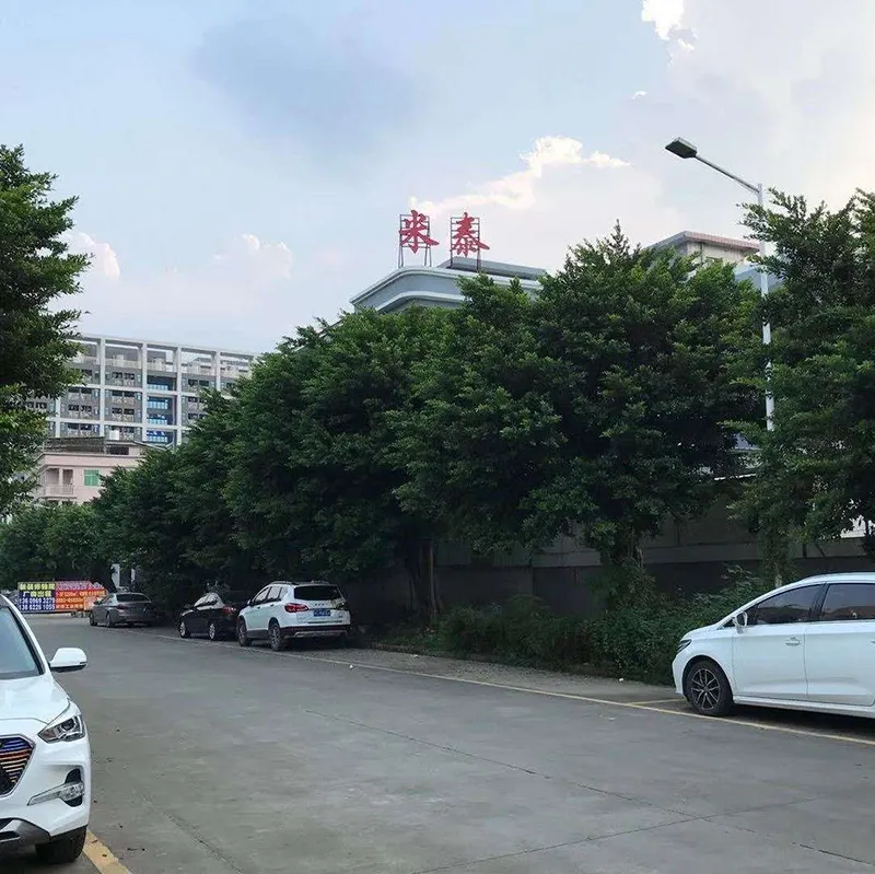 Custom EVA Molded Arch Support Orthotic Insole for Flat Feet Shoe Pad for Shoes