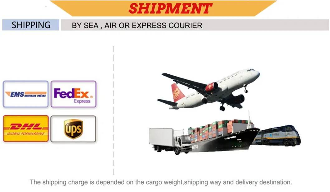 Fashion Women Shoes Ladies Shoes Designer Lady Ankle Chunky Heels Ladies Boots