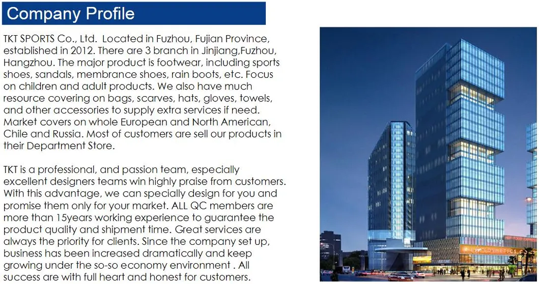 Fashionable Casual Men′s Shoes Breathable Sneakers Zgzzw2020-233bz (1)