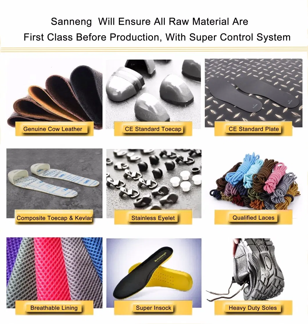 Industrial Leather Men/Women Working Shoe Safety Footwear - Sn5798