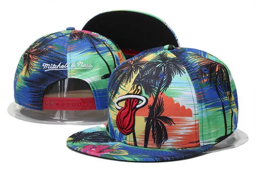Miami Heat Custom Cotton Baseball Caps Sport Cap Fashion Hat/Cap