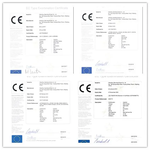 Newest CE Certificate Safety Shoes S3 SRA (SN5798)