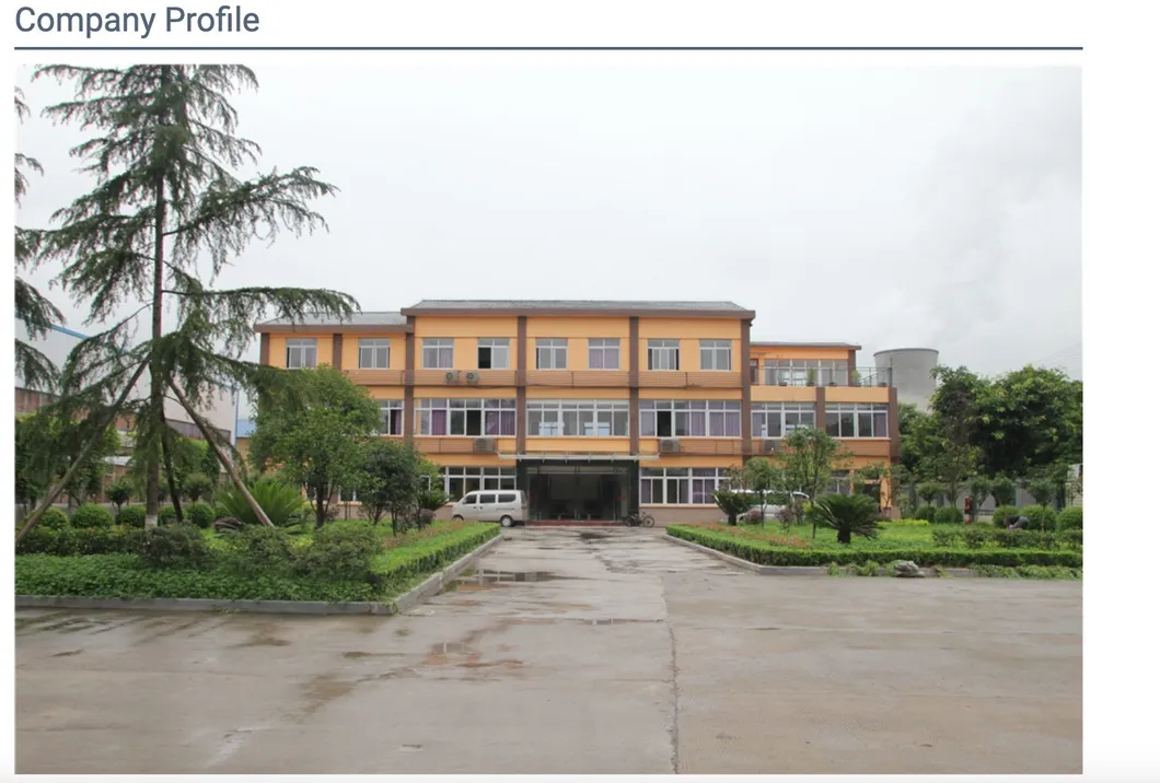 Tide Brand Fashion Lady Sport Chunky Sneakers Women Lightweight Casual Everyday Walking Sneakers Shoes