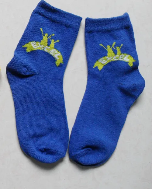 Young Teen Boys Girls Kid Socks for Children School Style